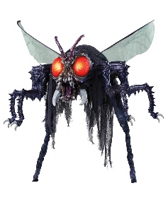Buzz