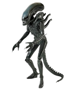 Zenomorph