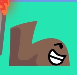 Shoe