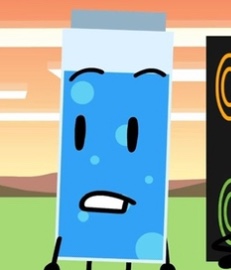 Water Bottle