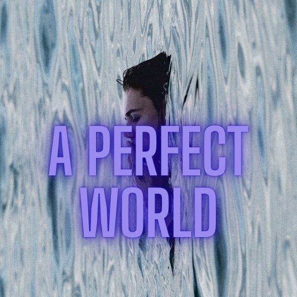a perfect world