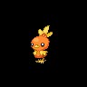 Torchic