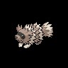 Zigzagoon