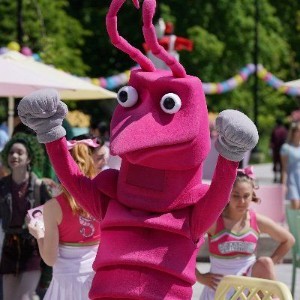 Shrimpy