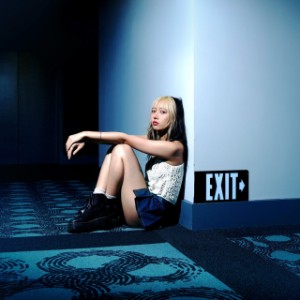 the misunderstood - hannah bahng