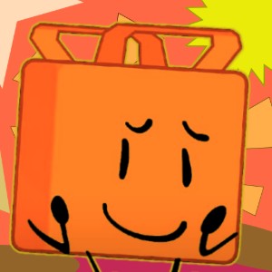 FELT CONTAINER