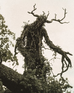 Árvore Monstro
