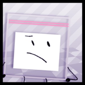 Evidence bag