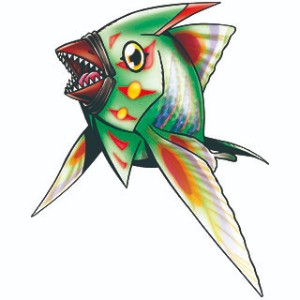 swimmon
