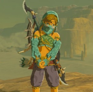 Gerudo Link
