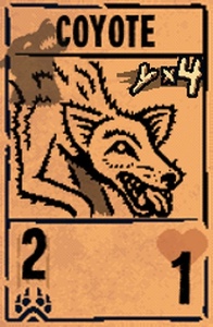 Coyote