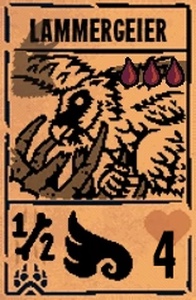 Lammergeier