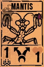 Mantis