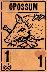 Opossum