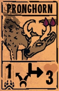 Pronghorn