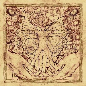 Arachne