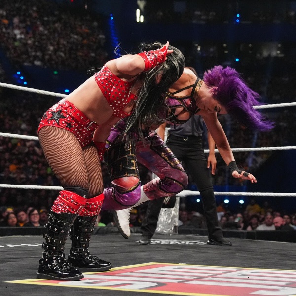 Bayley – Rose Plant