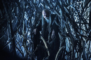 brynden "bloodraven" rivers