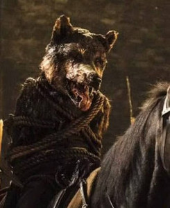robb "the young wolf" stark