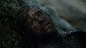 sandor "the hound" clegane