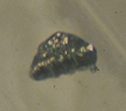 Curium (₉₆Cm)