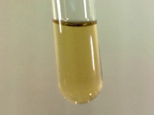 Fluorine (₉F)