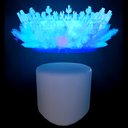 winter crystal halo 2018