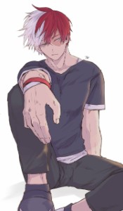 Todoroki