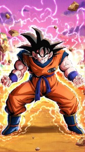 LR PHY F2P Goku