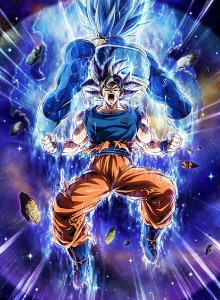 LR PHY ToP Duo Reversible Exchange
