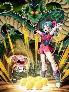 LR STR Bulma Active Skill