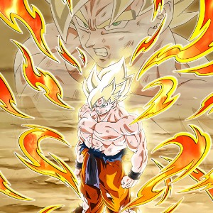 LR TEQ Birdku Revival