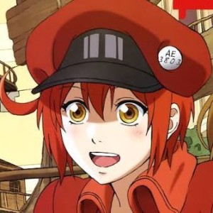 AE3803 (Cells at Work!)