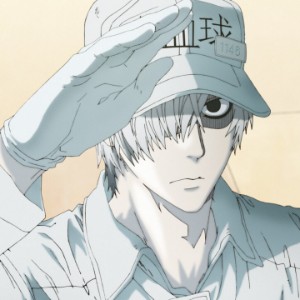 U-1146 (Cells at Work!)