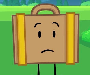 Suitcase