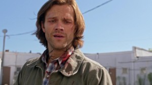 Rabid Sam
