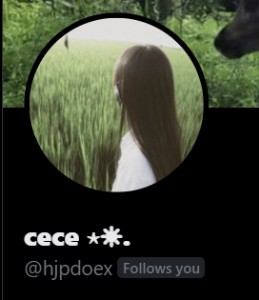 cece @hjpdoex