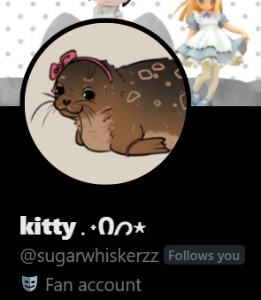 kitty @sugarwhiskerzz