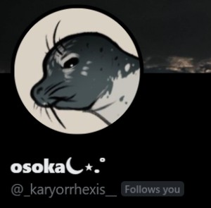 Osoka @_karyorrhexis__