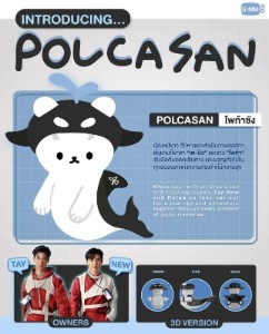 Polcasan