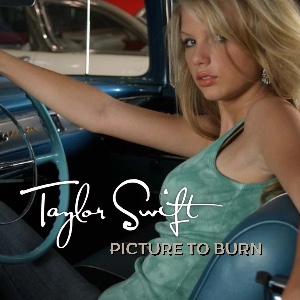 Picture To Burn