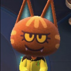 Katt