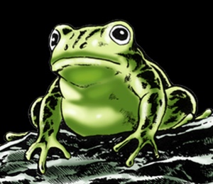 “Memetaa!” Frog
