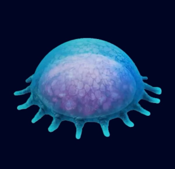 Ancient Floater