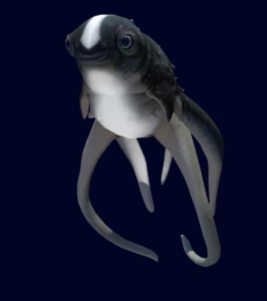 Cuddlefish