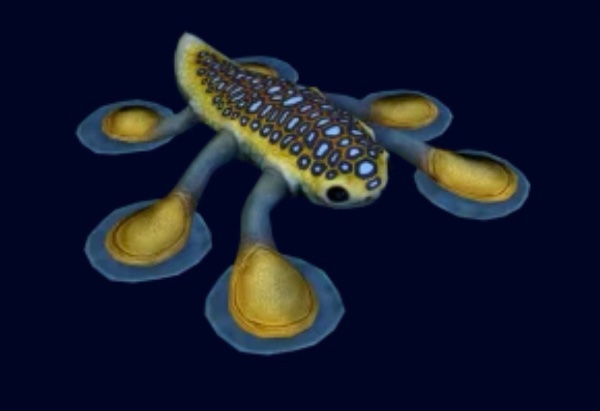 Hoverfish