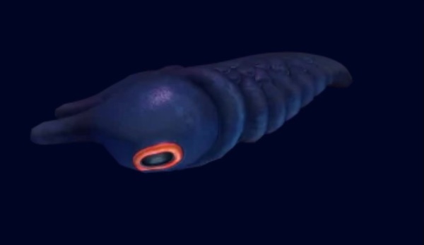 Lava Larva