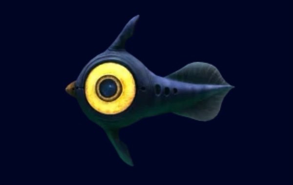 Peeper