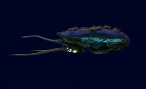 Reefback