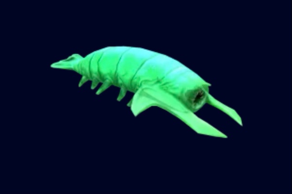 Rockgrub